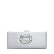 Pochette rectangulaire brillantes