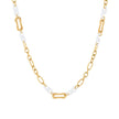 Collier d'acier chaîne à liens